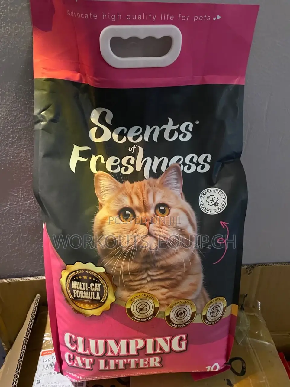 10kg Bentonite Cat Litter