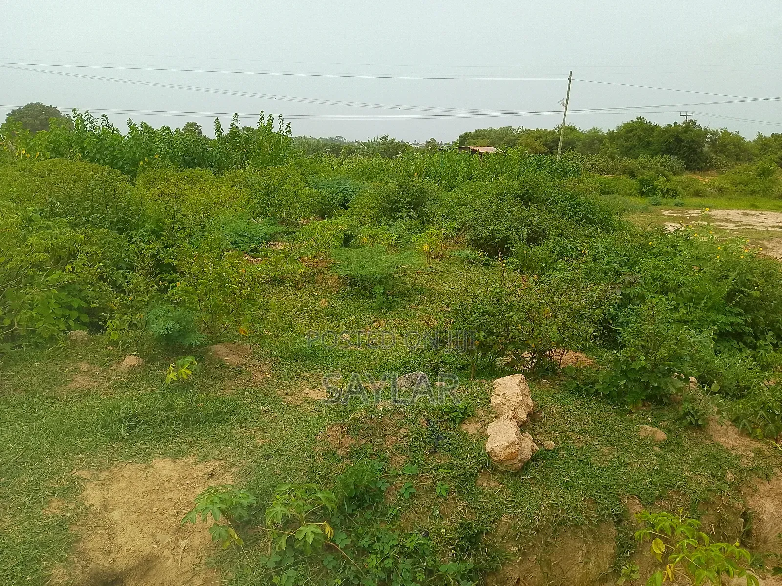 Full Plot for Sale Agyei Kwajo