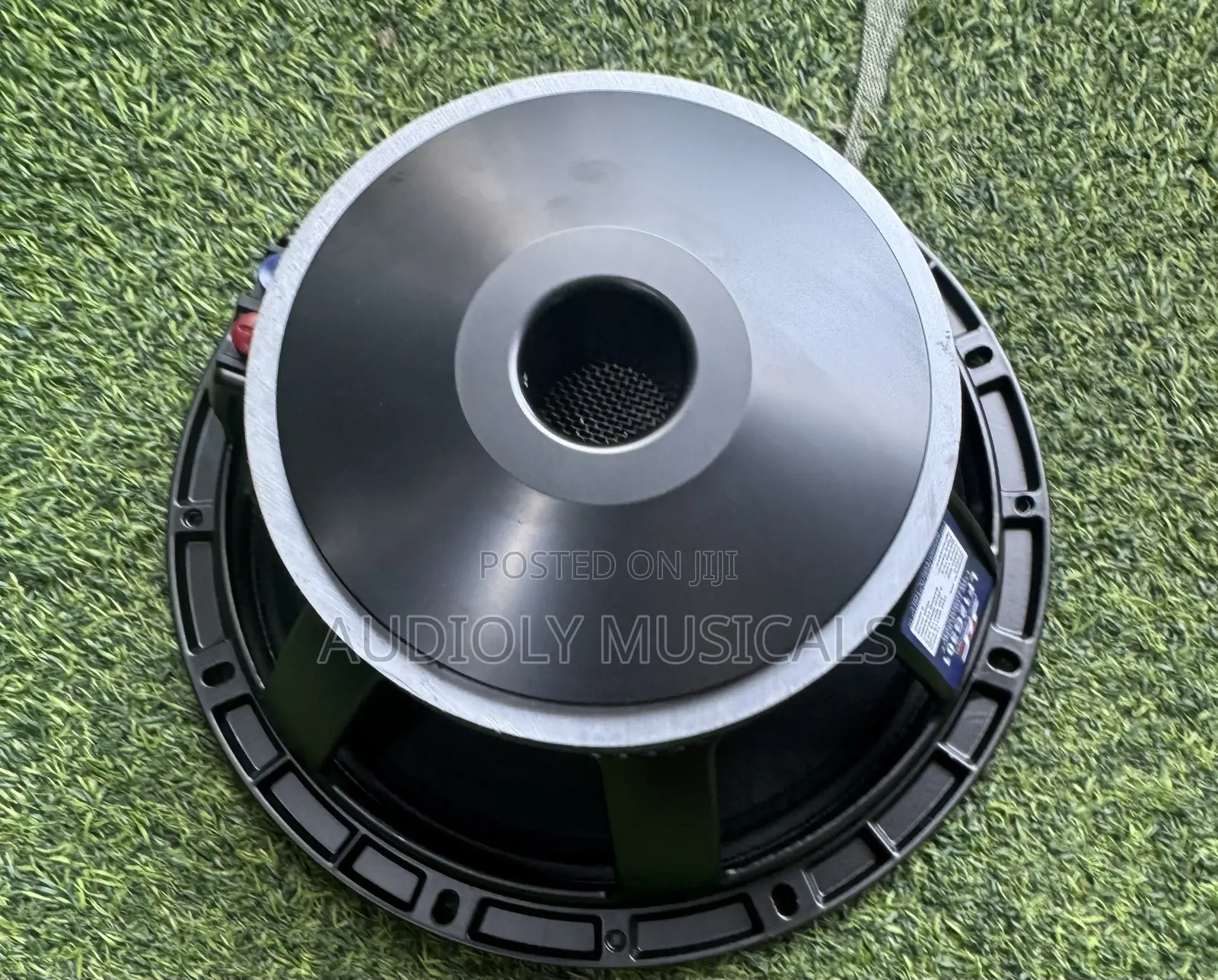 Jac Single Magnet 12-Inches Naked Speaker