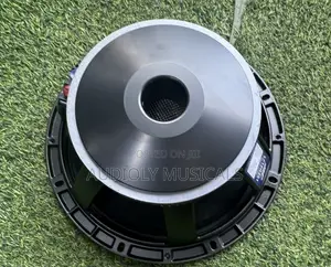 Jac Single Magnet 12-Inches Naked Speaker