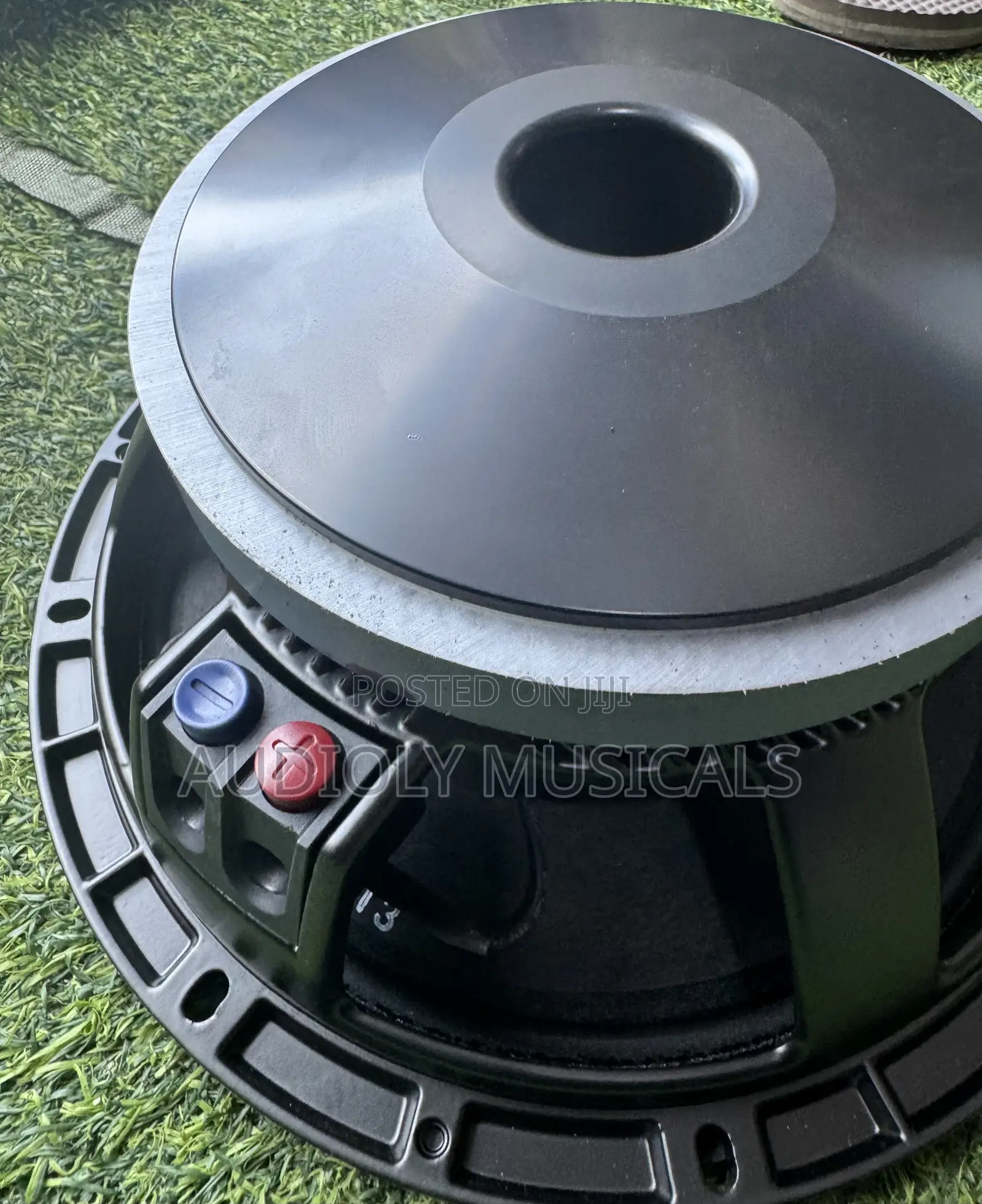Jac Single Magnet 12-Inches Naked Speaker