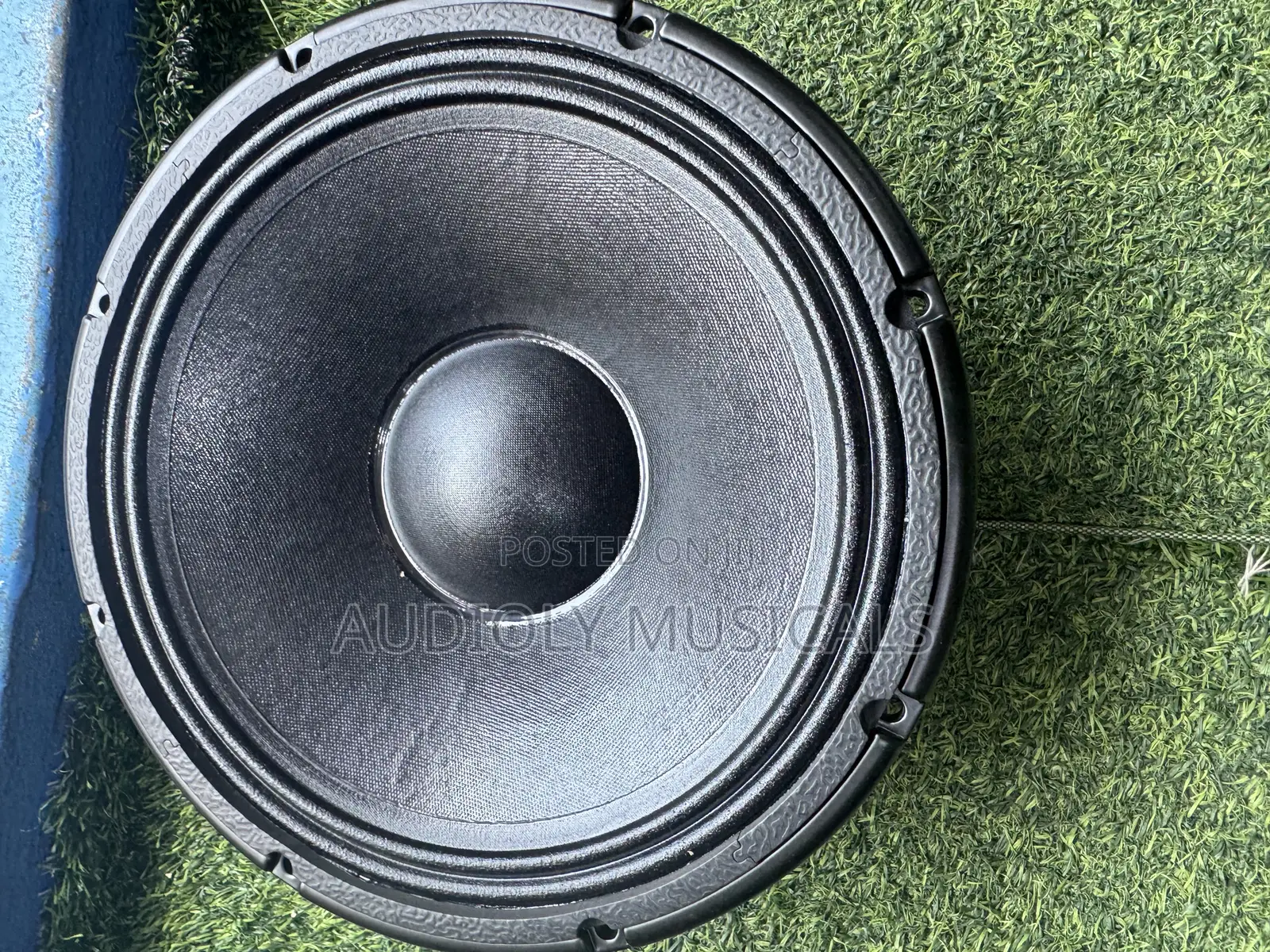 Jac Single Magnet 12-Inches Naked Speaker