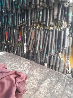Some of the Back Shocks Absorbers