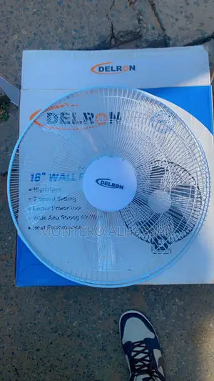 Delron 18 Inches Wall Fan