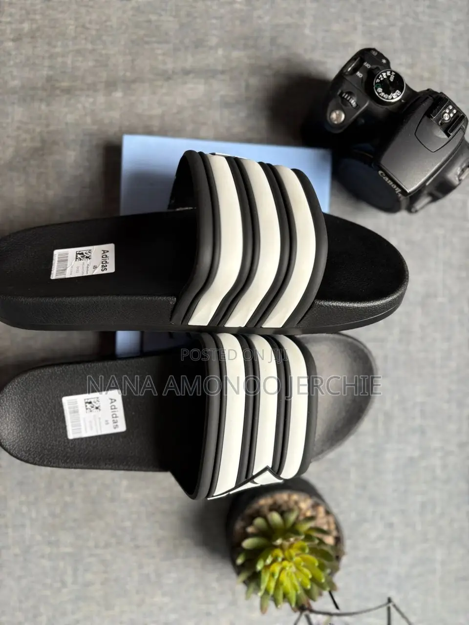 Brand New Slippers