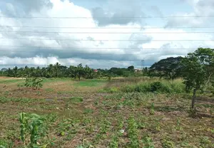 Volta Region - Ho, (Ho - Kpetoe Road) _ 7.18 Acres Land