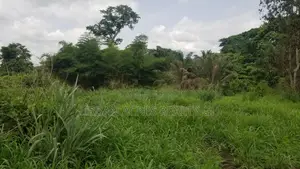 Central Region, Agona (Swedru) _ 200+ Acres Farmland