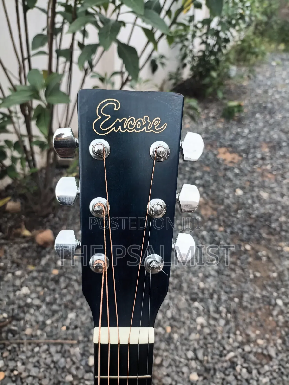 Martins Smith, Encore, Yamaha, Falcon Etc