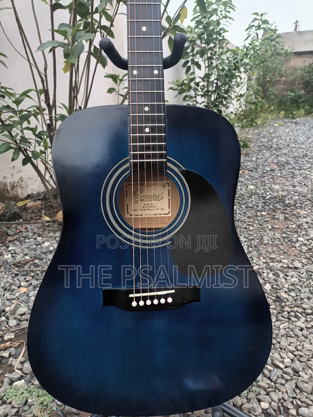 Martins Smith, Encore, Yamaha, Falcon Etc