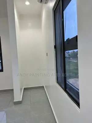 Professional Painter