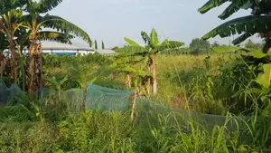 G/T ACCRA, AMASAMAN (SATELLITE) _ 1 Plot (70'x100') Land