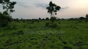Gt/Accra - Somanya (Okwenya) _ 15+ Acres Mixed-Use Land