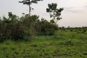 Gt/Accra - Somanya (Okwenya) _ 15+ Acres Mixed-Use Land