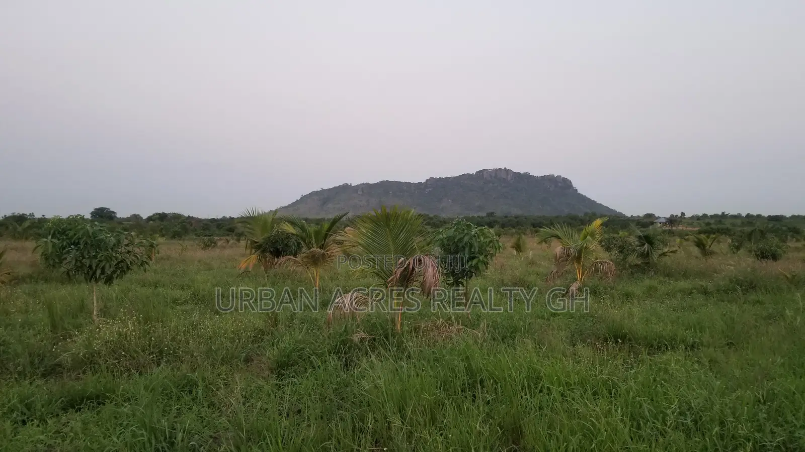 Gt/Accra - Somanya (Okwenya) _ 15+ Acres Mixed-Use Land