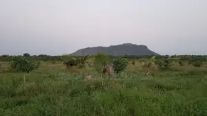 Gt/Accra - Somanya (Okwenya) _ 15+ Acres Mixed-Use Land