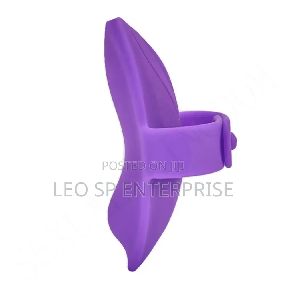 Panty Vibrator