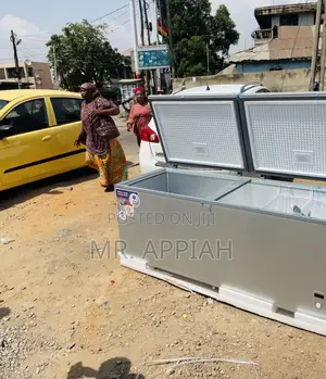 Purchase Premium Nas 1200fl 800l Freezer 2 Door Freezer.