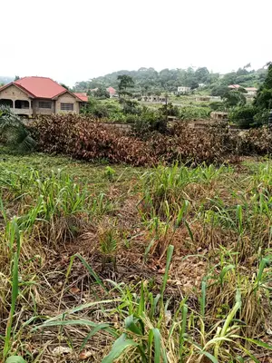 E/R - Aburi Mountain, (Gyankama) _ 1 Plot (0.16 Acre) Land
