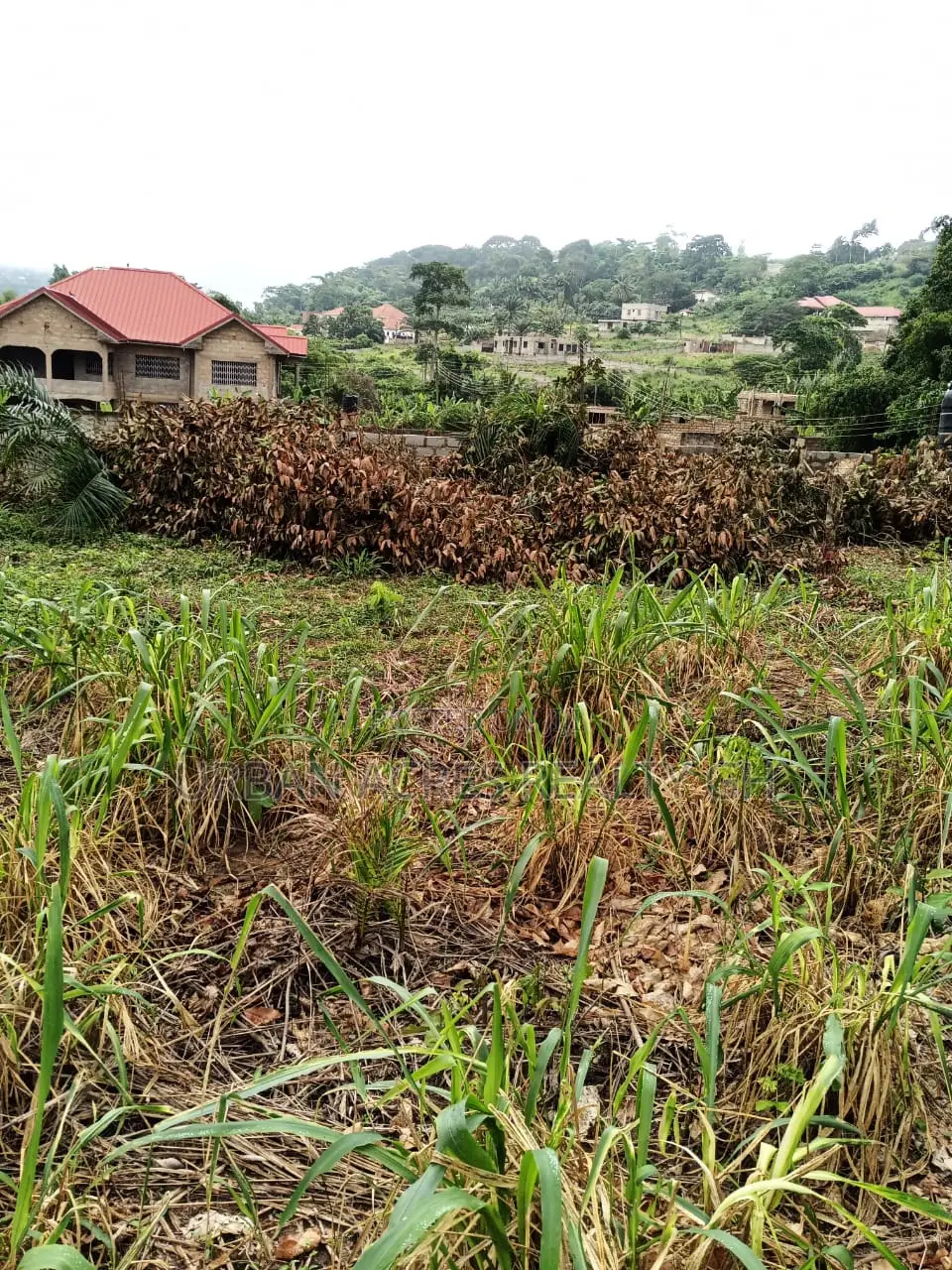 E/R - Aburi Mountain, (Gyankama) _ 1 Plot (0.16 Acre) Land