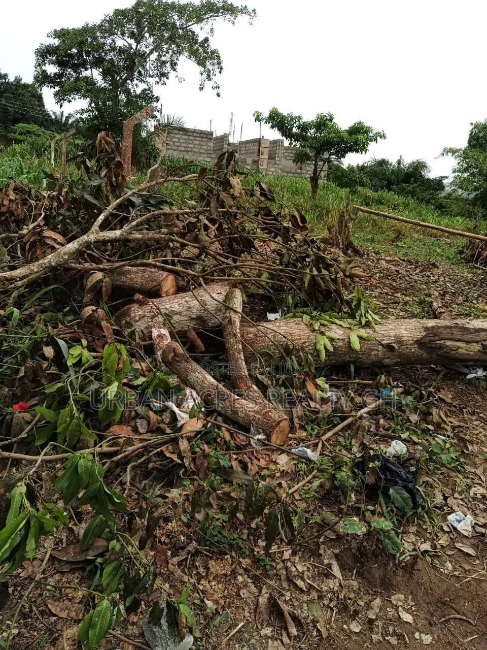 E/R - Aburi Mountain, (Gyankama) _ 1 Plot (0.16 Acre) Land