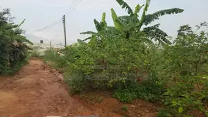 Gt/Acc - Amasaman (Peace Village) _ 2 Plots (0.36 Acre) Land