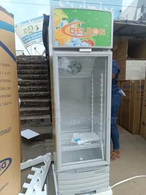 Delron 193liter Showcase Refrigerator