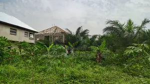 Gt/Acc - Amasaman, (Medie) _ 1 Plot (0.16 Acre) Land