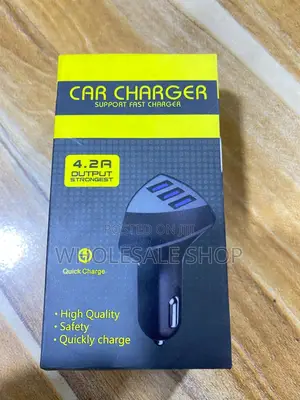 4.2a Fast Car Charger