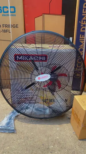 24 Inches Wall Fan Vizio