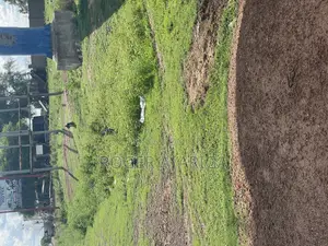 First Plot for Sale at Yikene Bolga