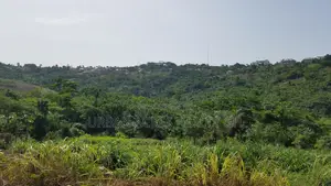 E/R - Aburi Mountain, (Mampong) _ 120 Plots (25+ Acres) Land
