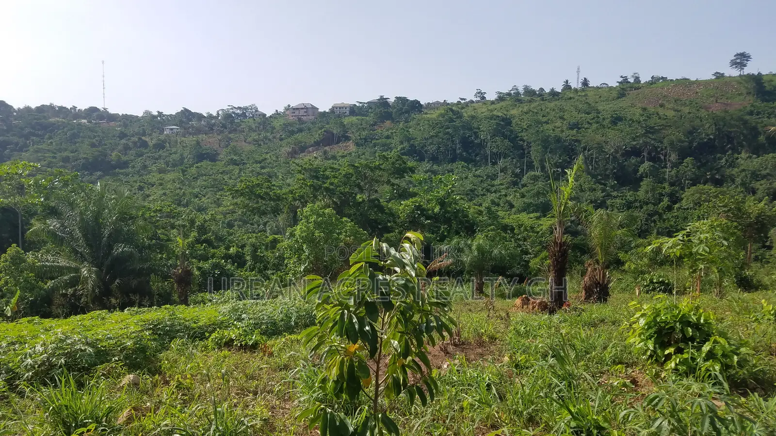 E/R - Aburi Mountain, (Mampong) _ 120 Plots (25+ Acres) Land