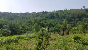 E/R - Aburi Mountain, (Mampong) _ 120 Plots (25+ Acres) Land