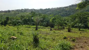 E/R - Aburi Mountain, (Mampong) _ 120 Plots (25+ Acres) Land