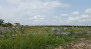 Gt/Accra - Dodowa, (Bawaleshie) _ 300 (50.86 Acres) Land
