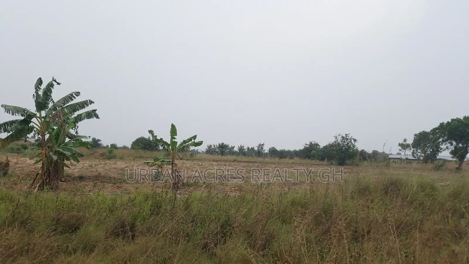 VOLTA REGION, AKATSI (HAVE) _ 1 Half Plot Building Land