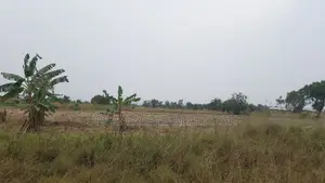 VOLTA REGION, AKATSI (HAVE) _ 1 Half Plot Building Land