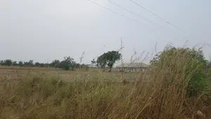 VOLTA REGION, AKATSI (HAVE) _ 1 Half Plot Building Land