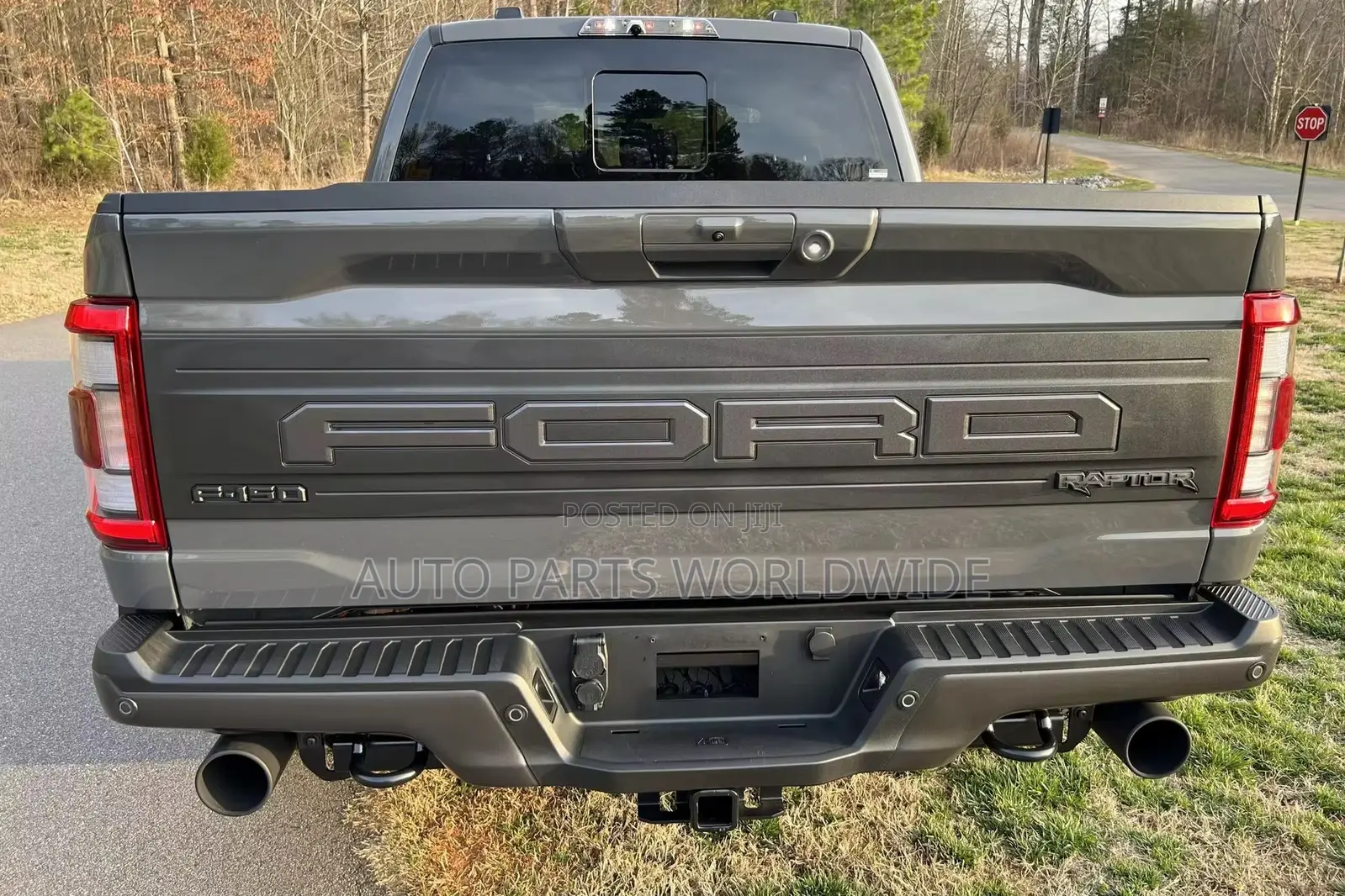 Ford F150 Tail Gate Board Available 2015-2024