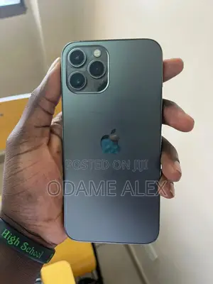 Apple iPhone 12 Pro Max 256 GB Gray