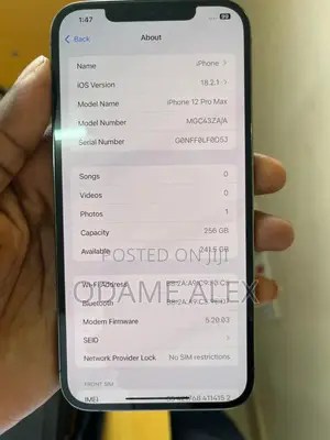 Apple iPhone 12 Pro Max 256 GB Gray