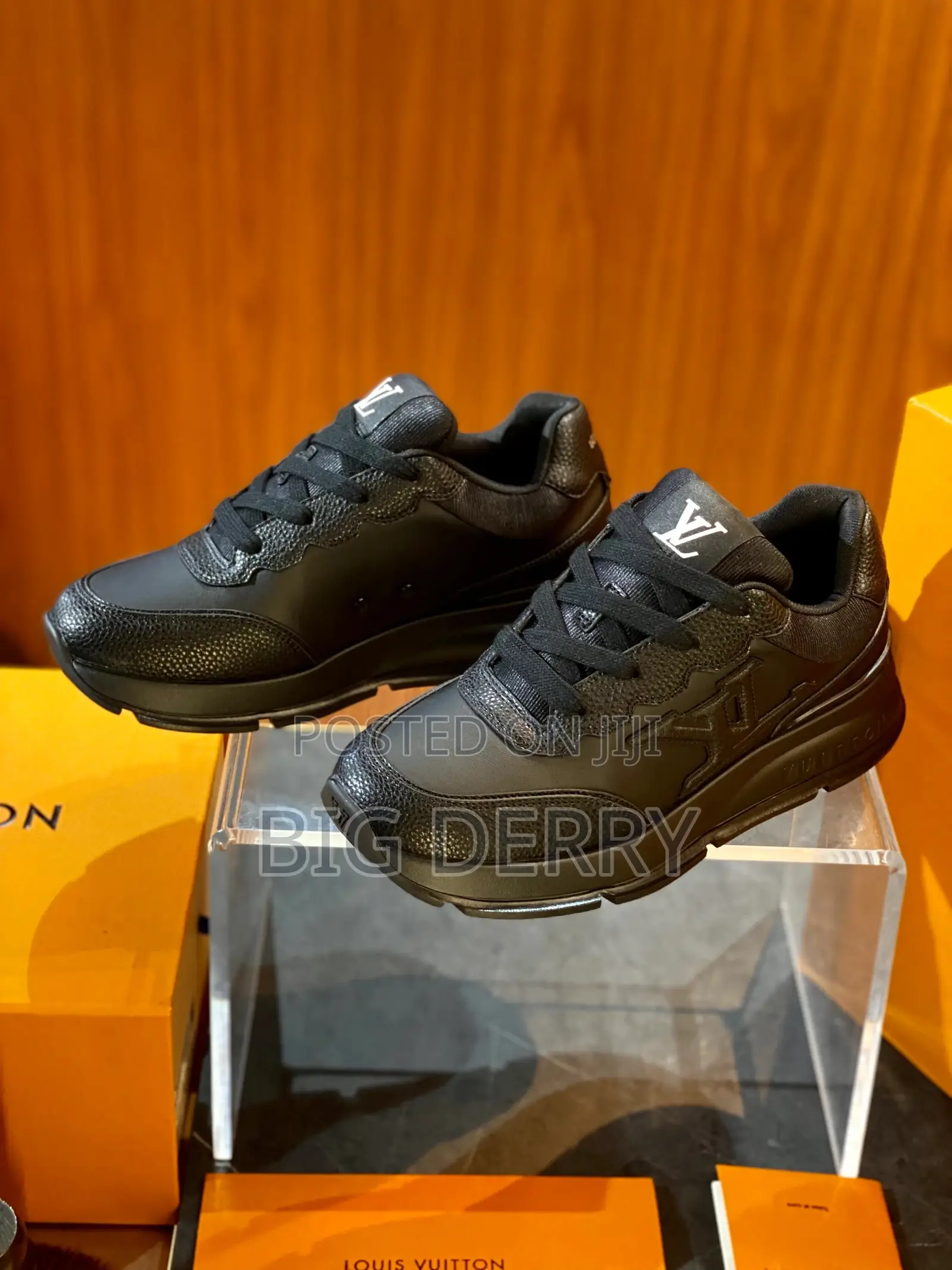 Louis Vuitton Classic Shoe