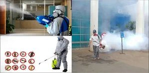 Pest Control Expert