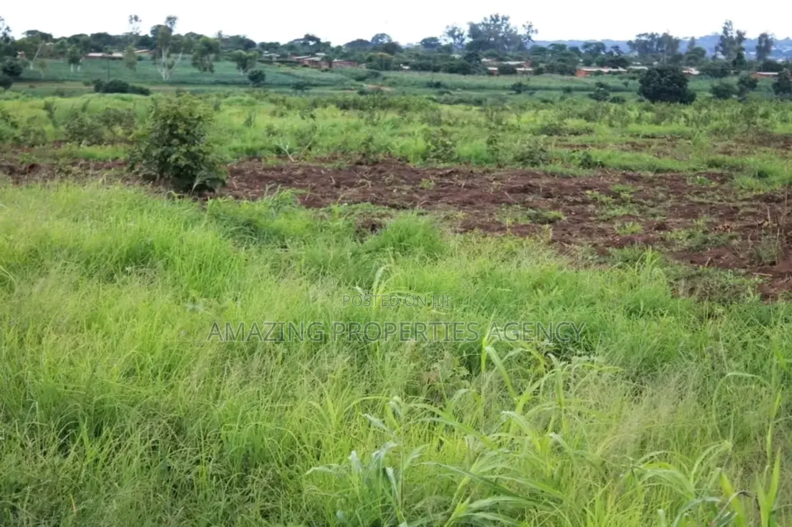 15 Acres of Land at Tema Industrial Area