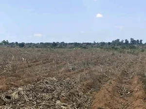 15 Acres of Land at Tema Industrial Area