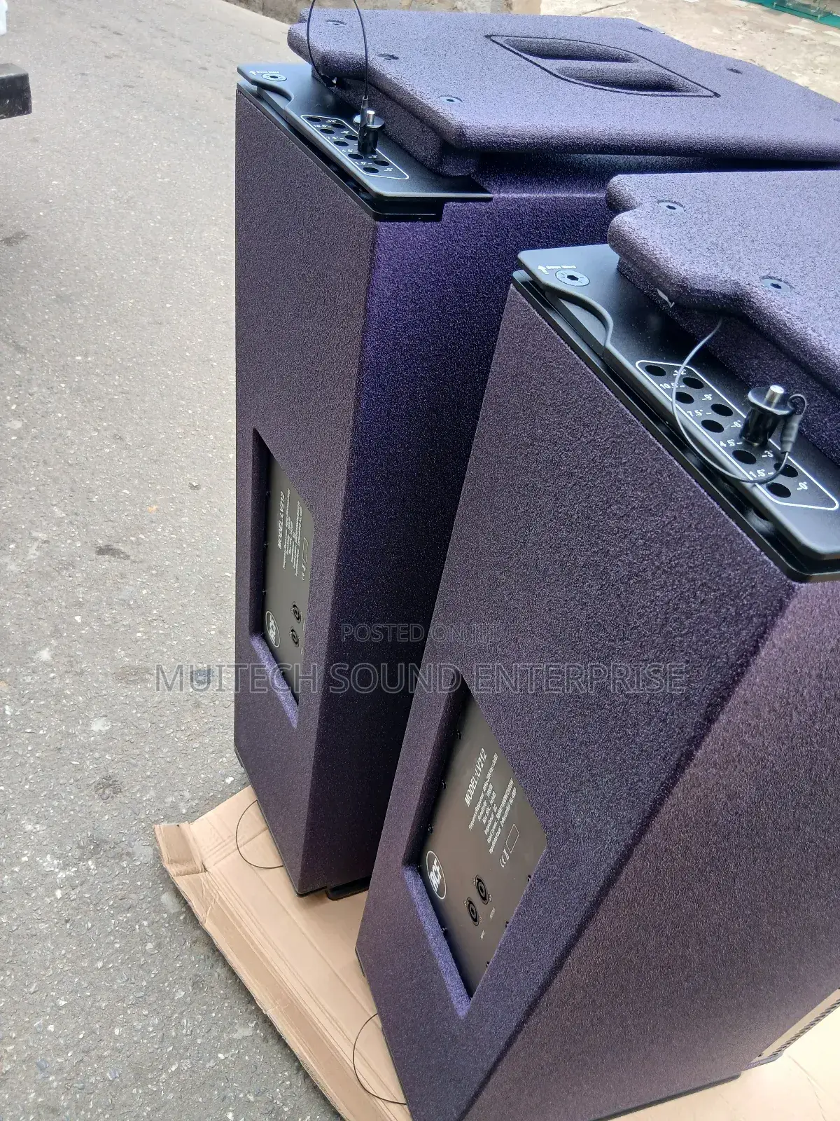 Array Speaker ( RCF '12 Inches)