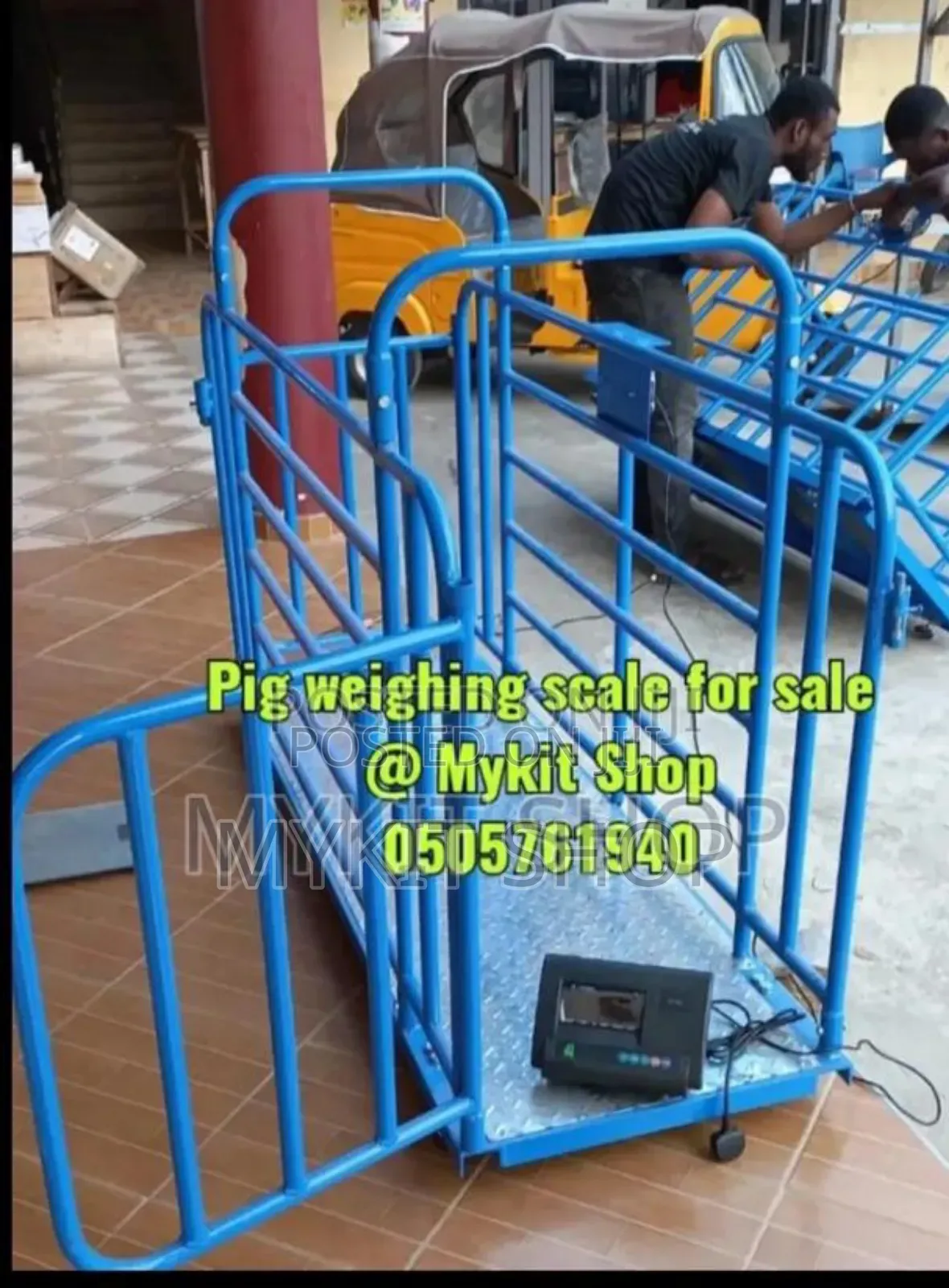 Pig Weighing Scale