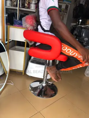 Salon Chair