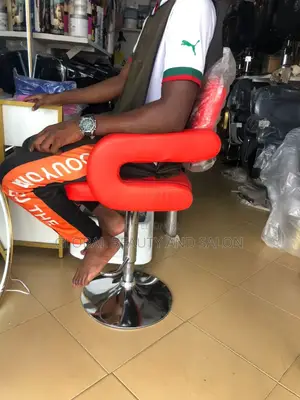 Salon Chair