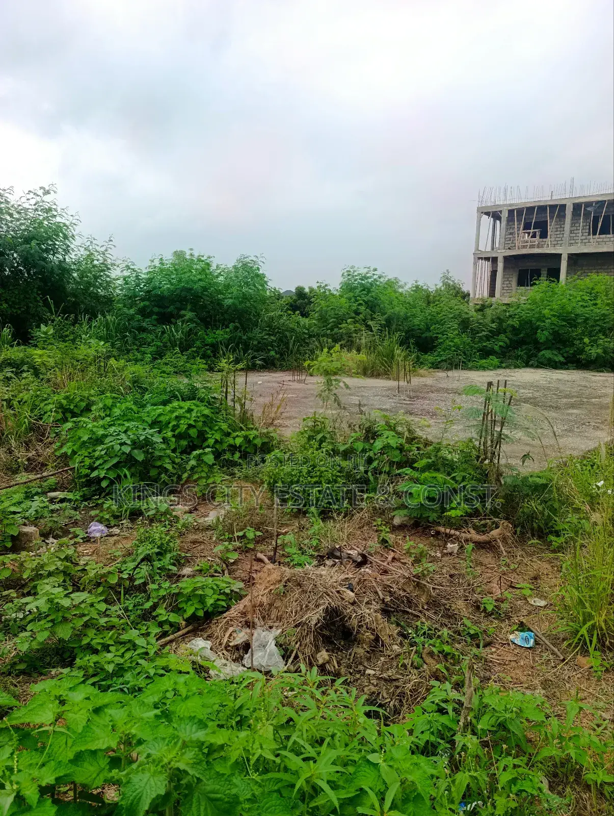 1 Plot of Land With Document for Sale at Odumasi Estate